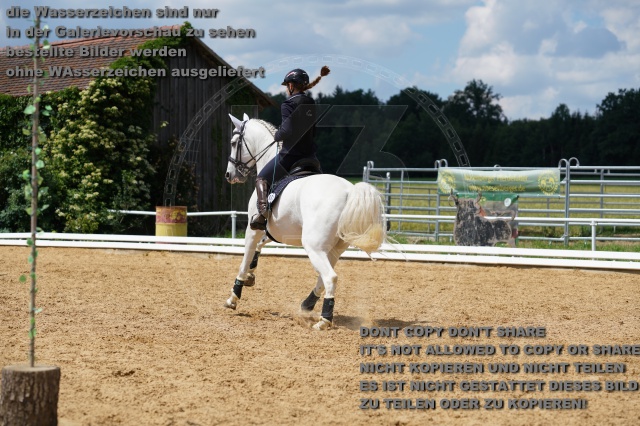 s_K3F06461.JPG
